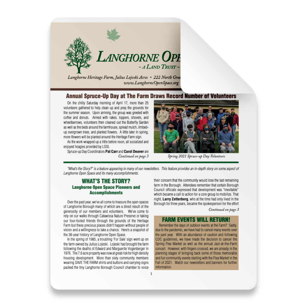 LOSI Newsletter 2021 Spring